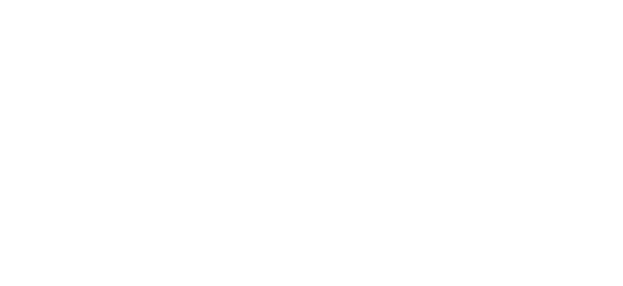 پراگماٹک پلے partner logo